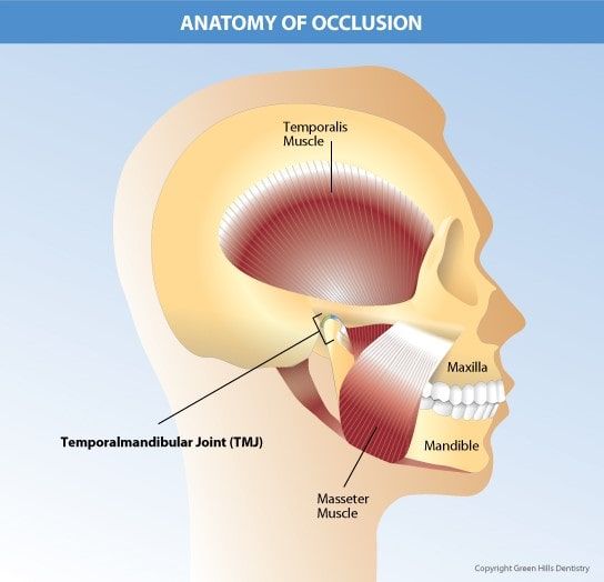facial pain and temporal headaches